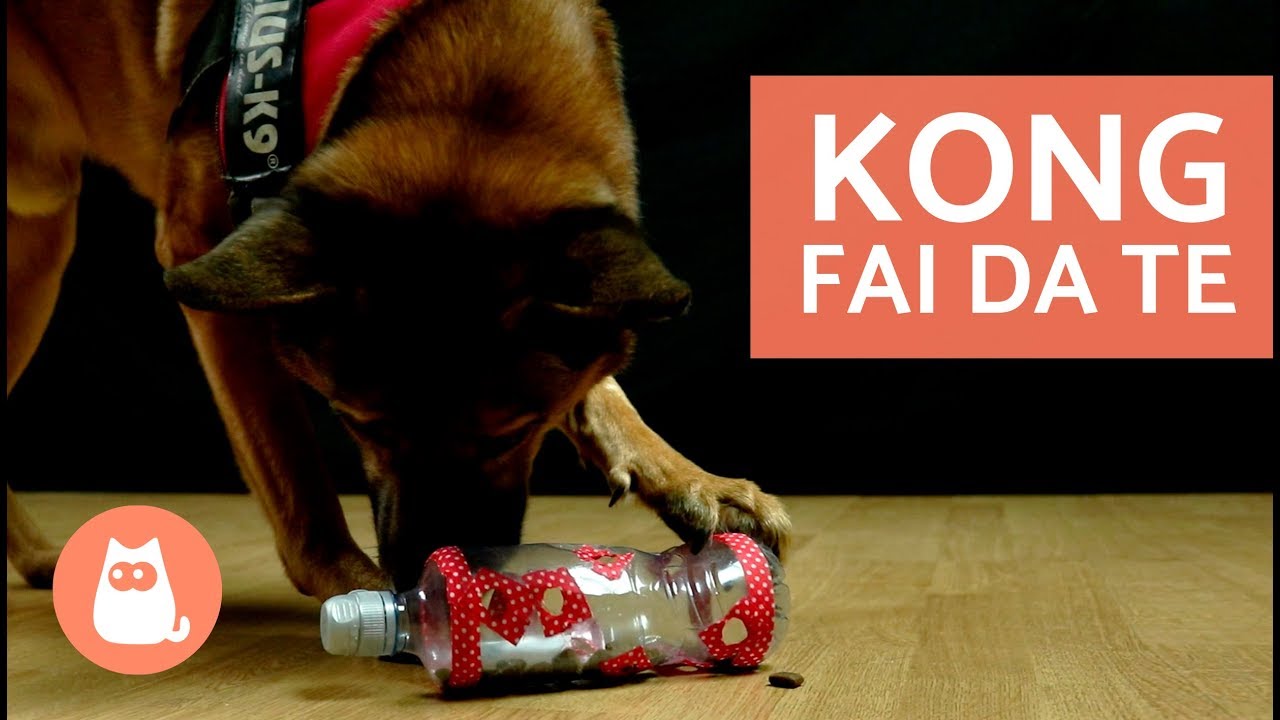 giochi olfattivi per cani fai da te