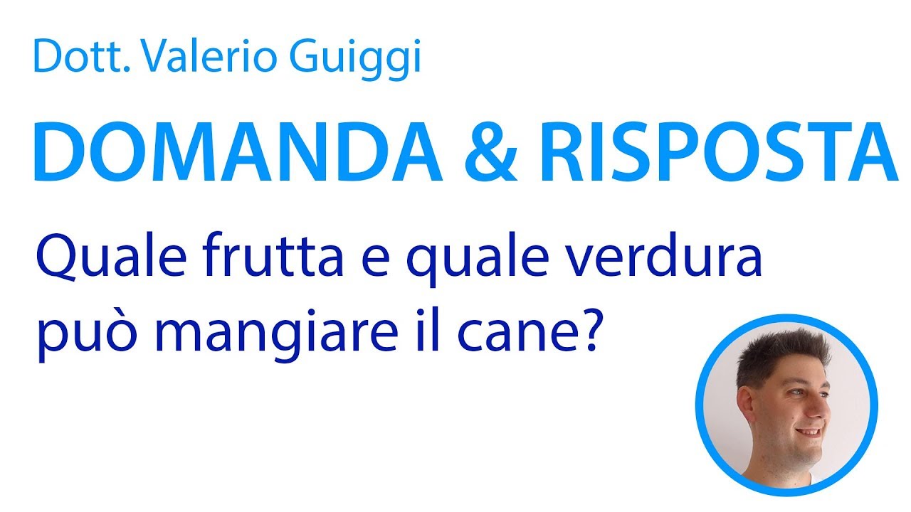 i cani possono mangiare il sedano