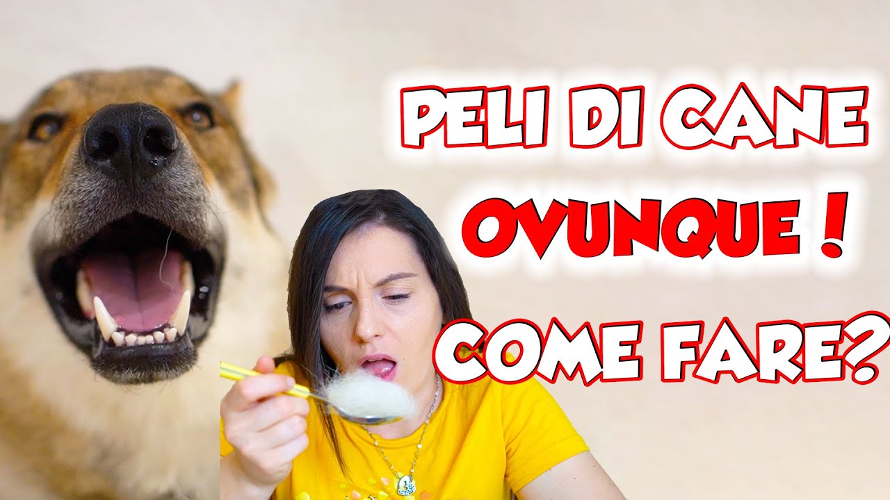 perchè il cane perde il pelo