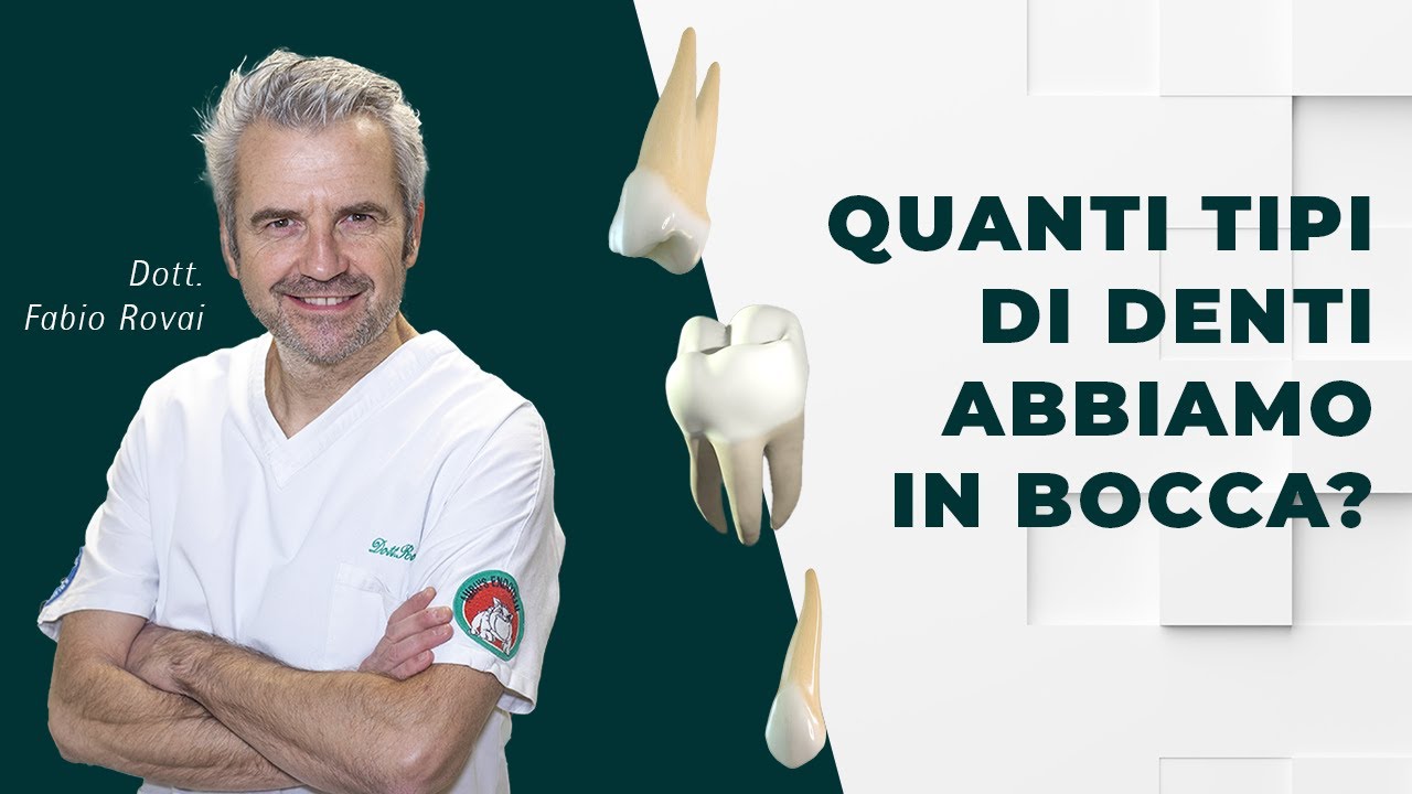 quanti denti ha un essere umano