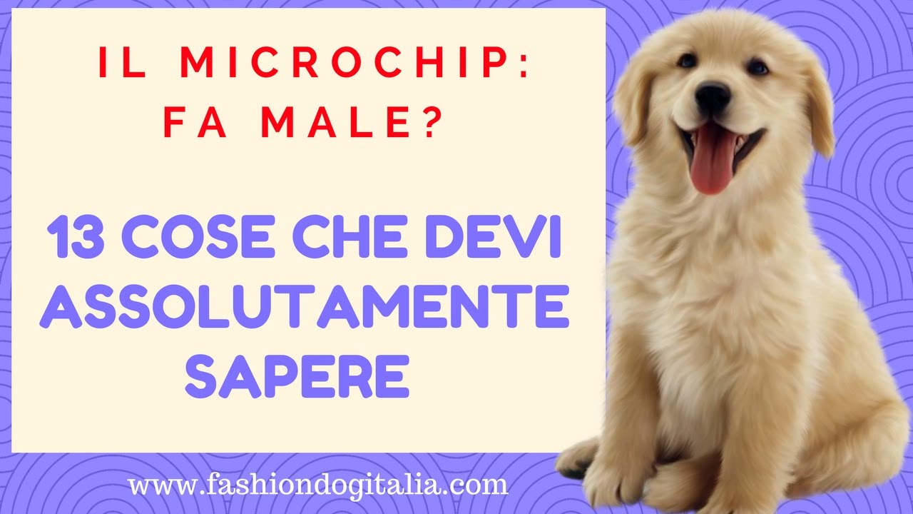 quanto costa mettere il microchip al cane