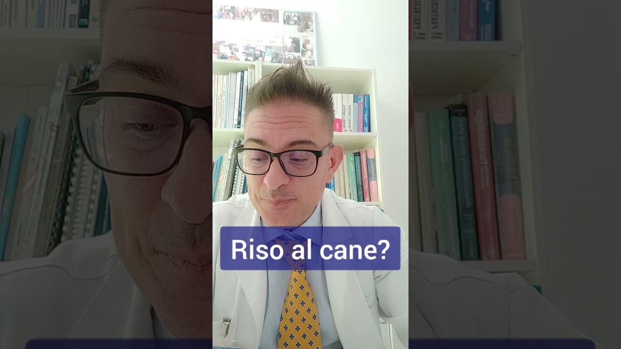 riso al cane tutti i giorni
