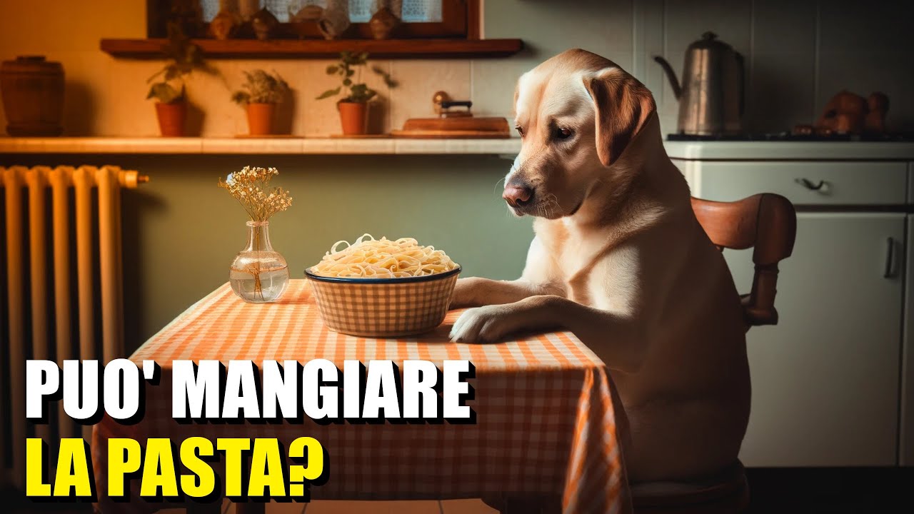 si può dare la pasta al cane