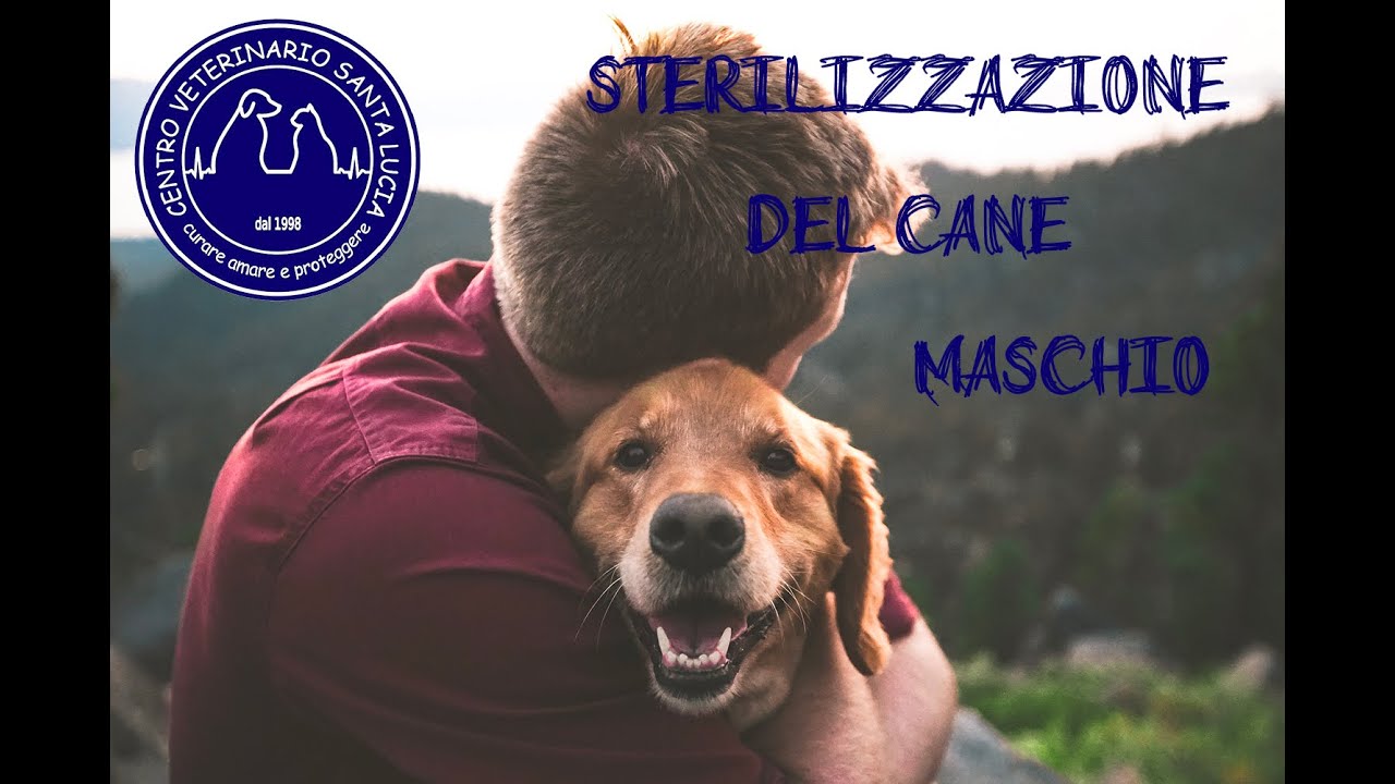 sterilizzare cane maschio pro e contro